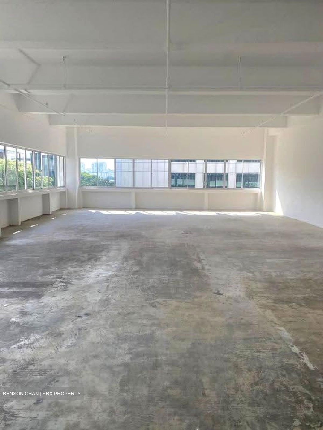 Perfect One (D13), Warehouse #639394001